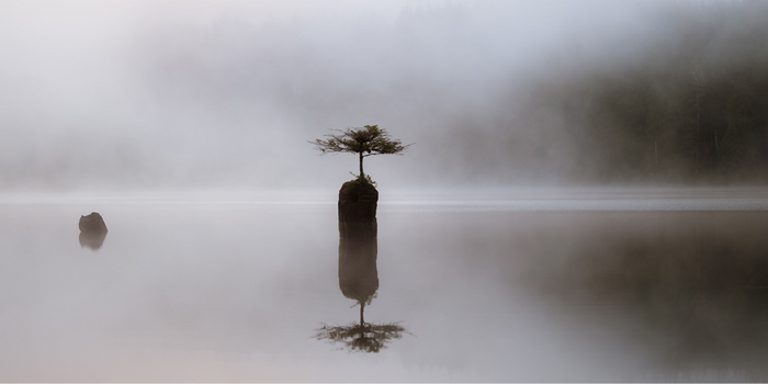 On the Writer's Fear of Being Seen