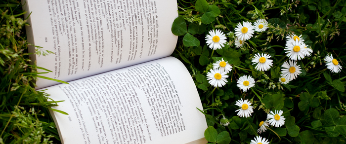 8 Irish Writers to Read Before You Die