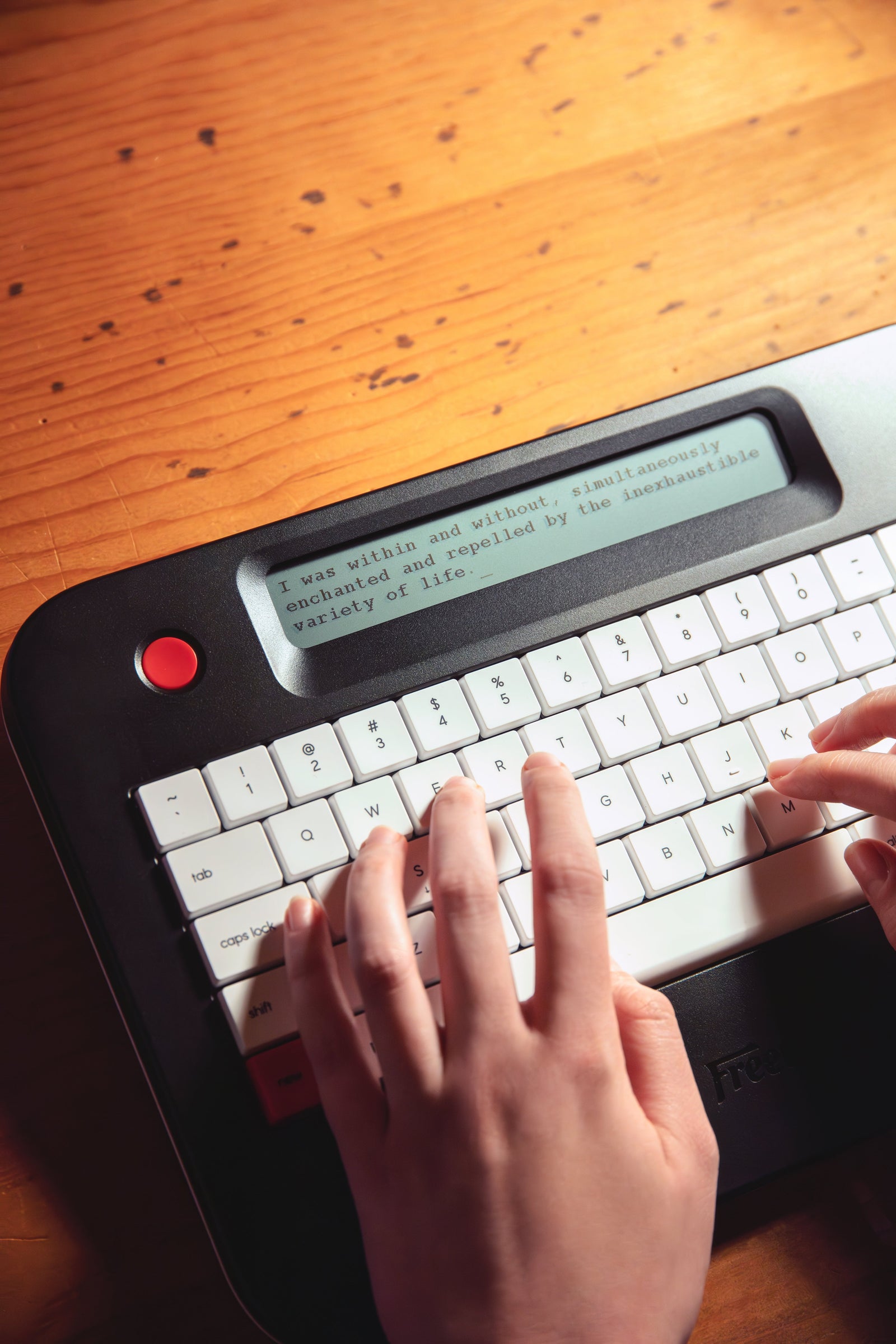 Writing Groups in Las Vegas: Where Creatives Connect