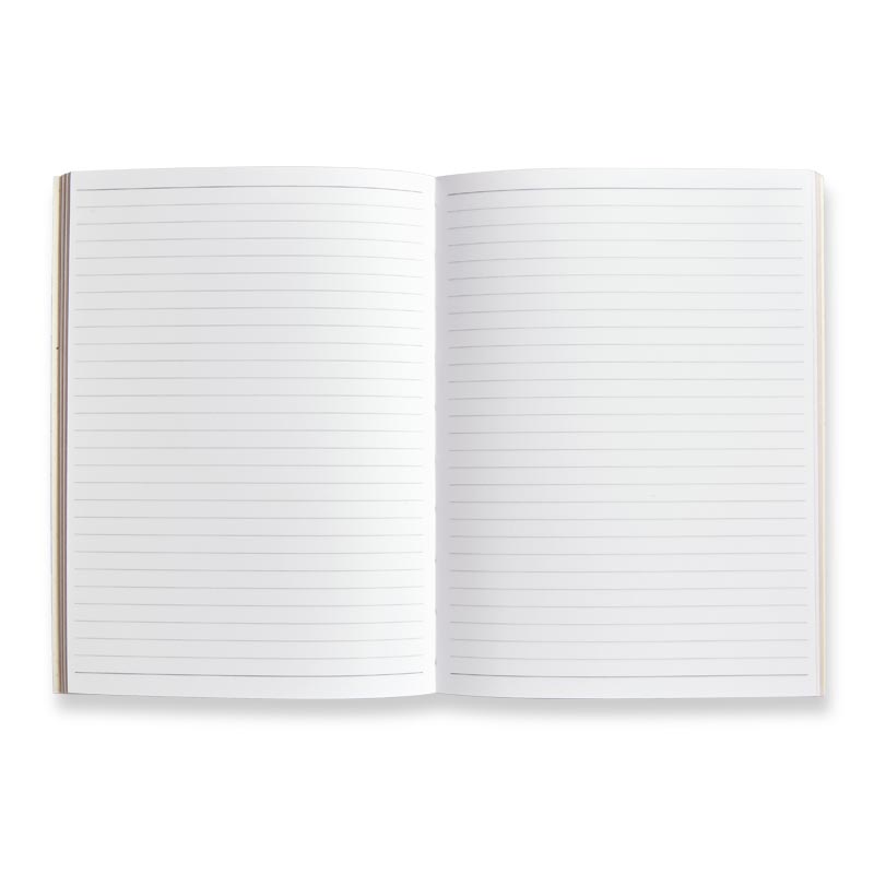 Emily Dickinson Notebooks (Set of 2)