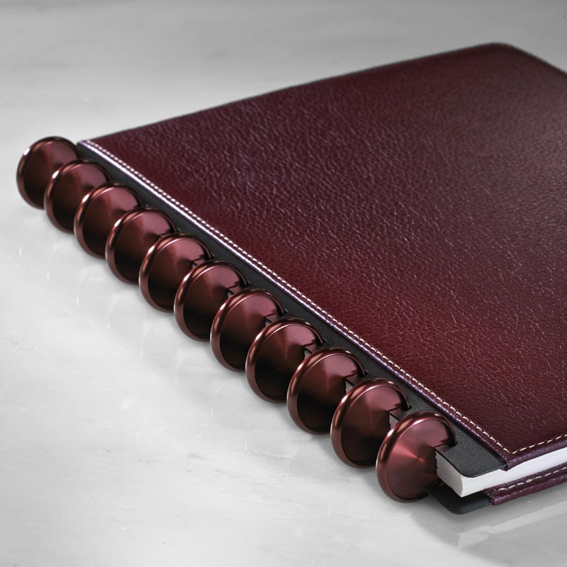 Aluminum Circa Notebook Discs (set of 11)