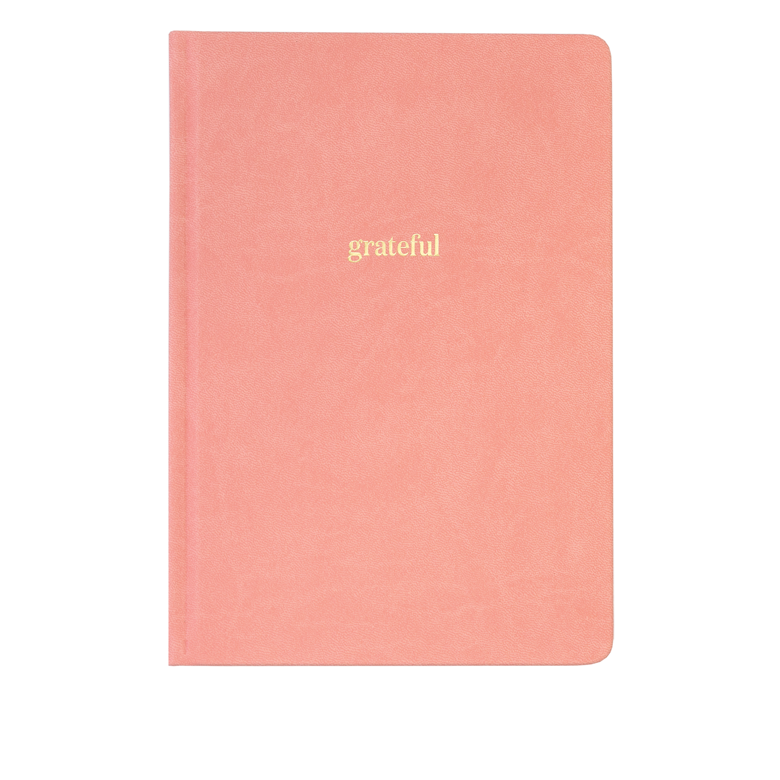Ink+Volt Gratitude Journal
