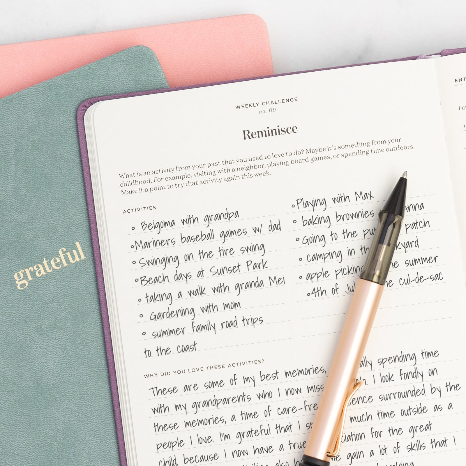 Ink+Volt Gratitude Journal